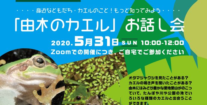 由木のカエルお話し会　Zoomで開催しました！2020.5.31