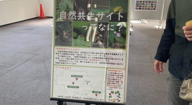自然共生サイト紹介展示