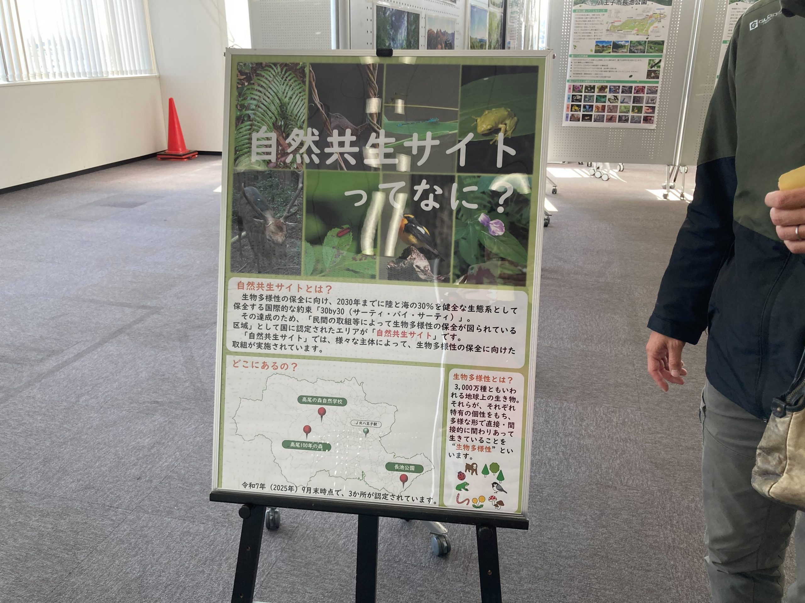 自然共生サイト紹介展示